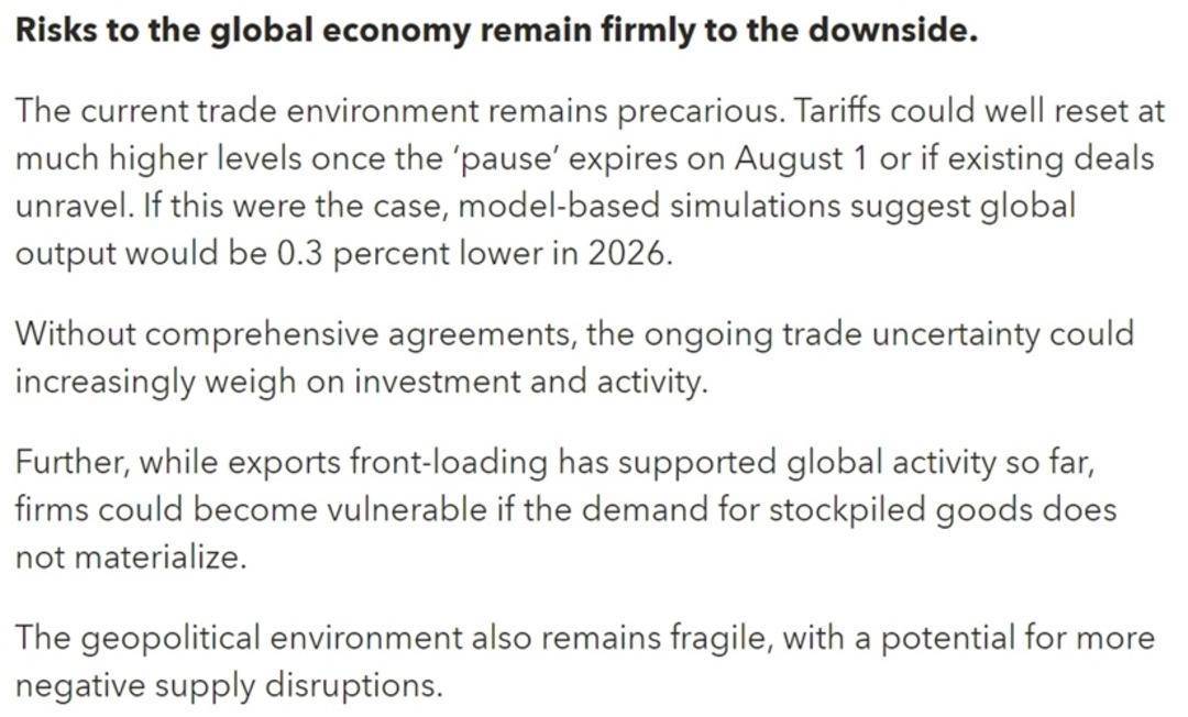 国际货币基金组织称美国新关税使贸易不确定性居高不下