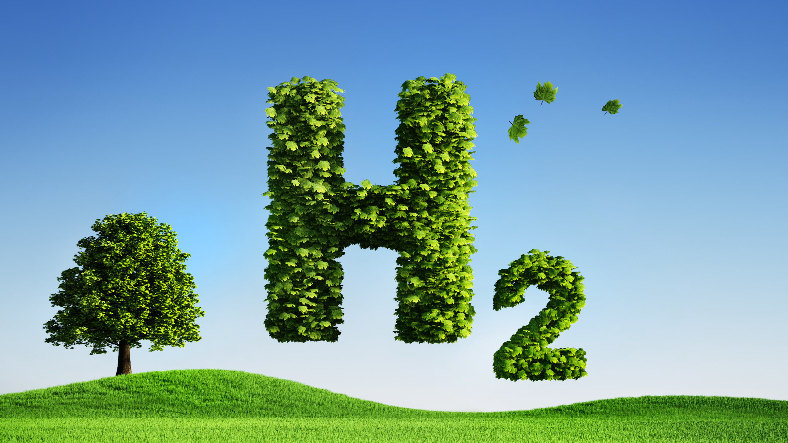 阿联酋将对绿色氢能的投资转投人工智能领域，折射绿氢发展困境