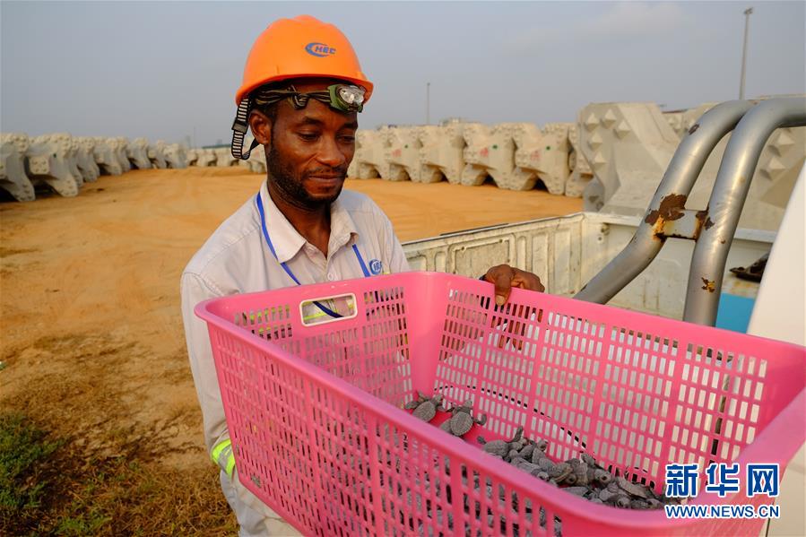 加纳特马港全面实行24小时运营