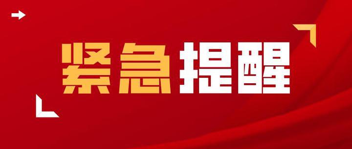 喀麦隆:人道主义援助面临因资金短缺而暂停的风险