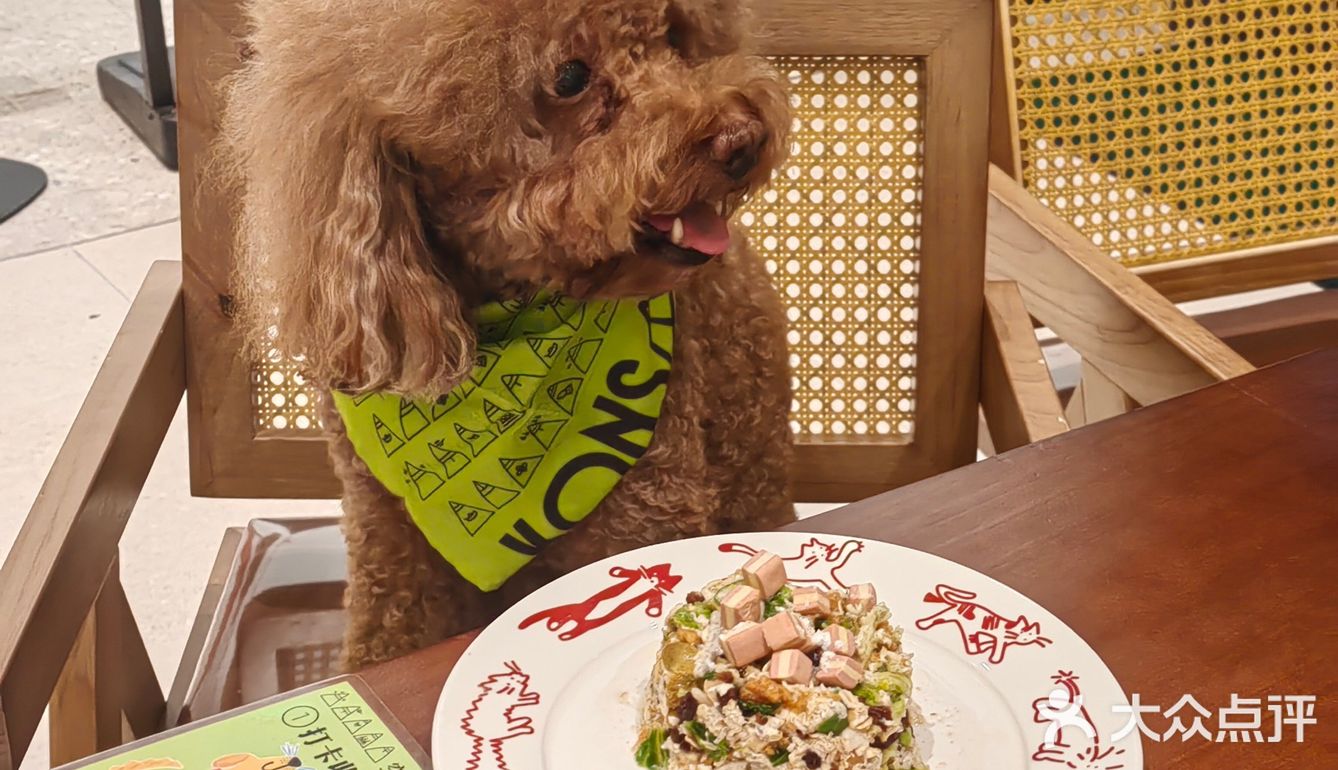 大众点评上线“全民监督机制”，用户可自主举报诱导好评、差评骚扰行为