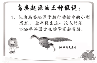 新证据可能将爬行动物起源前推4000万年