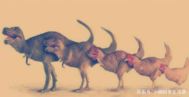 新证据可能将爬行动物起源前推4000万年