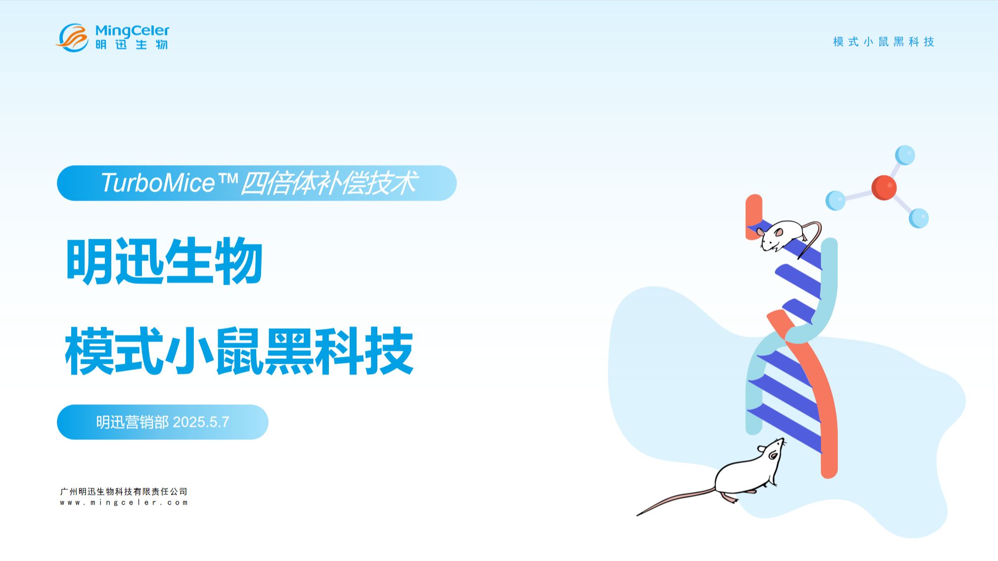 科学家打开基因“开关”实现小鼠耳廓再生