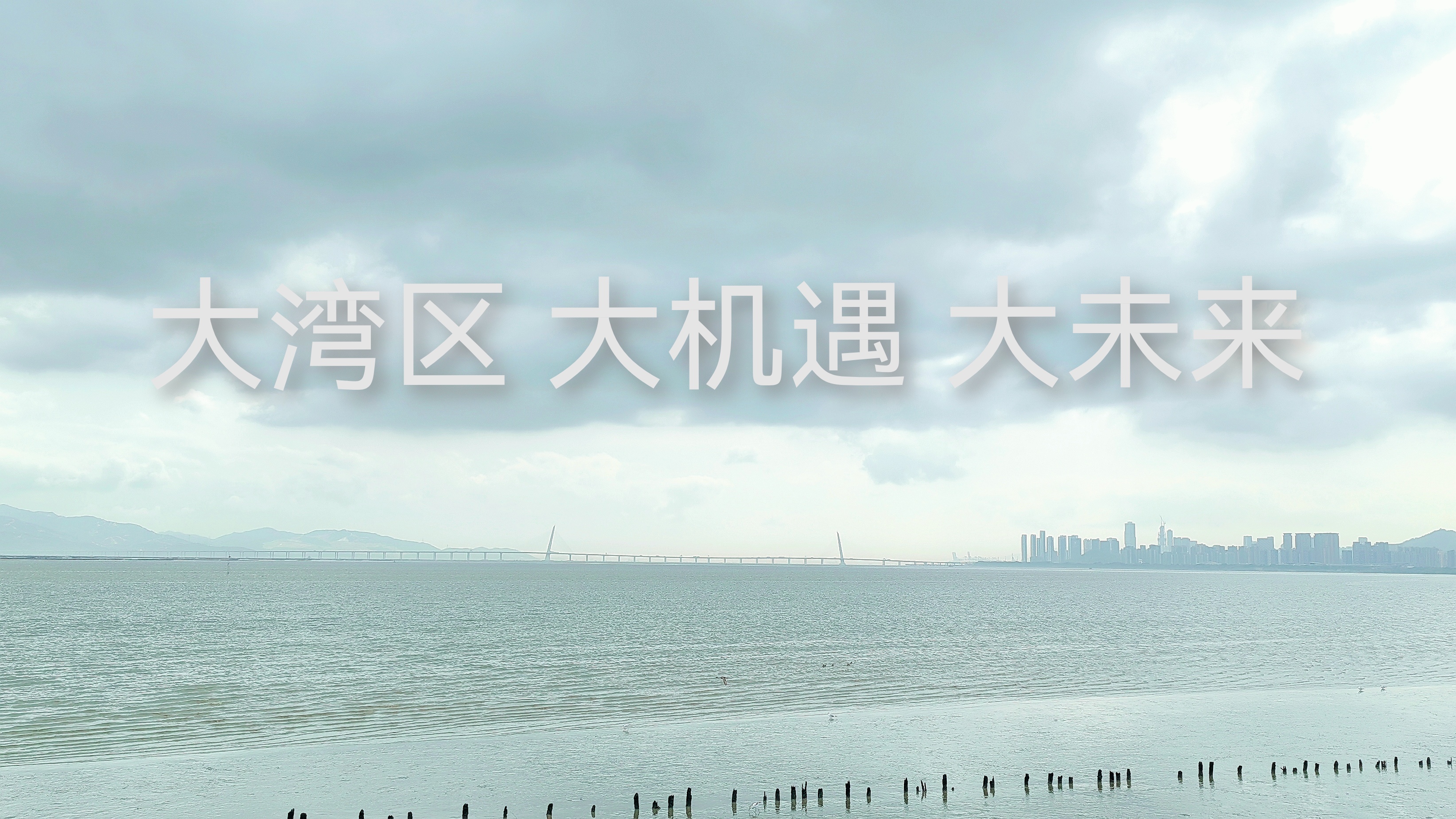 阿联酋在海湾地区投资放缓中展现强劲韧性,稳居FDI高地