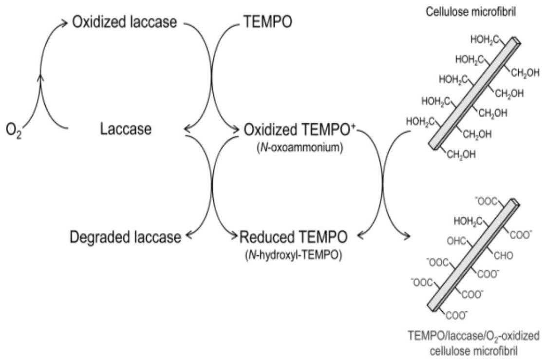 深水海纳获得发明专利授权：“负载型纳米铜铁催化剂的制备方法及污水处理设备”