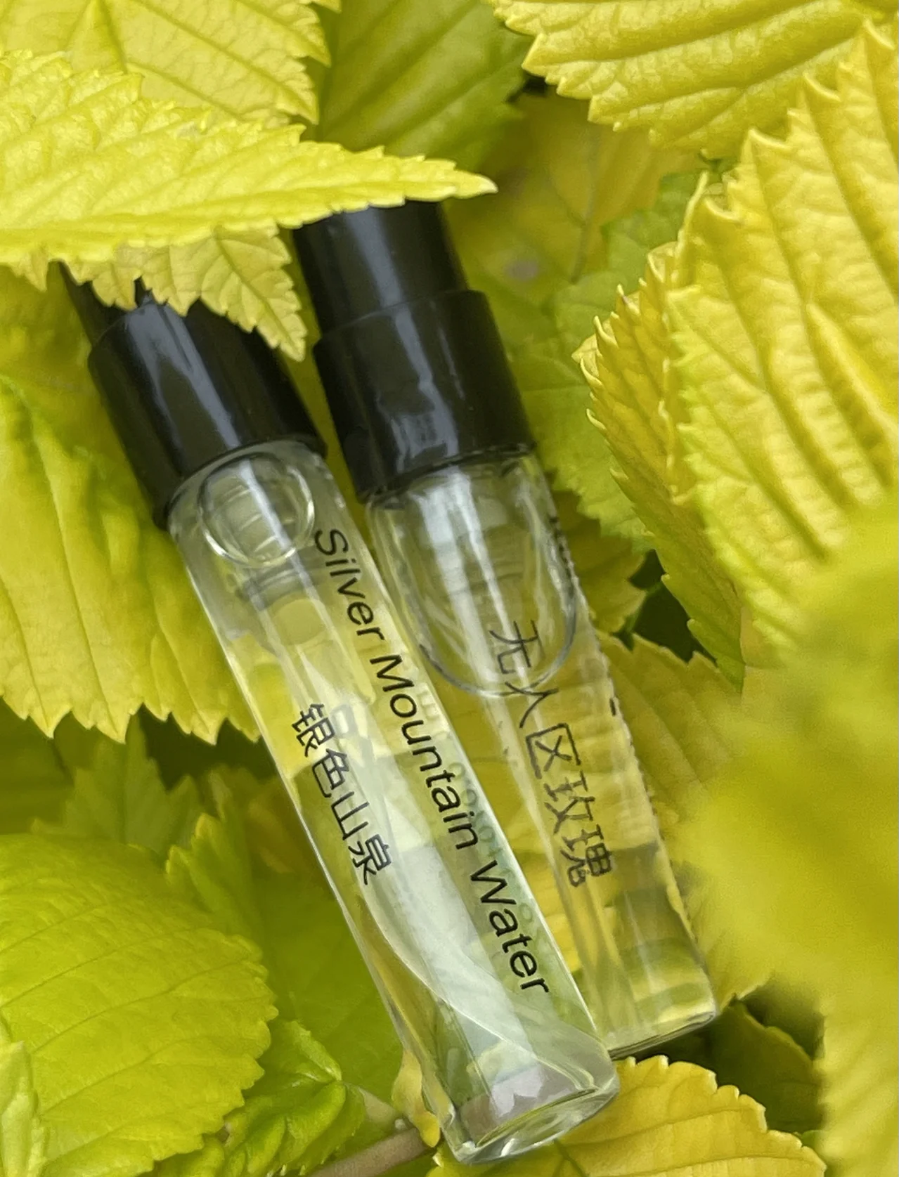 拒绝跟风！新试点支持科研人员勇闯“无人区”