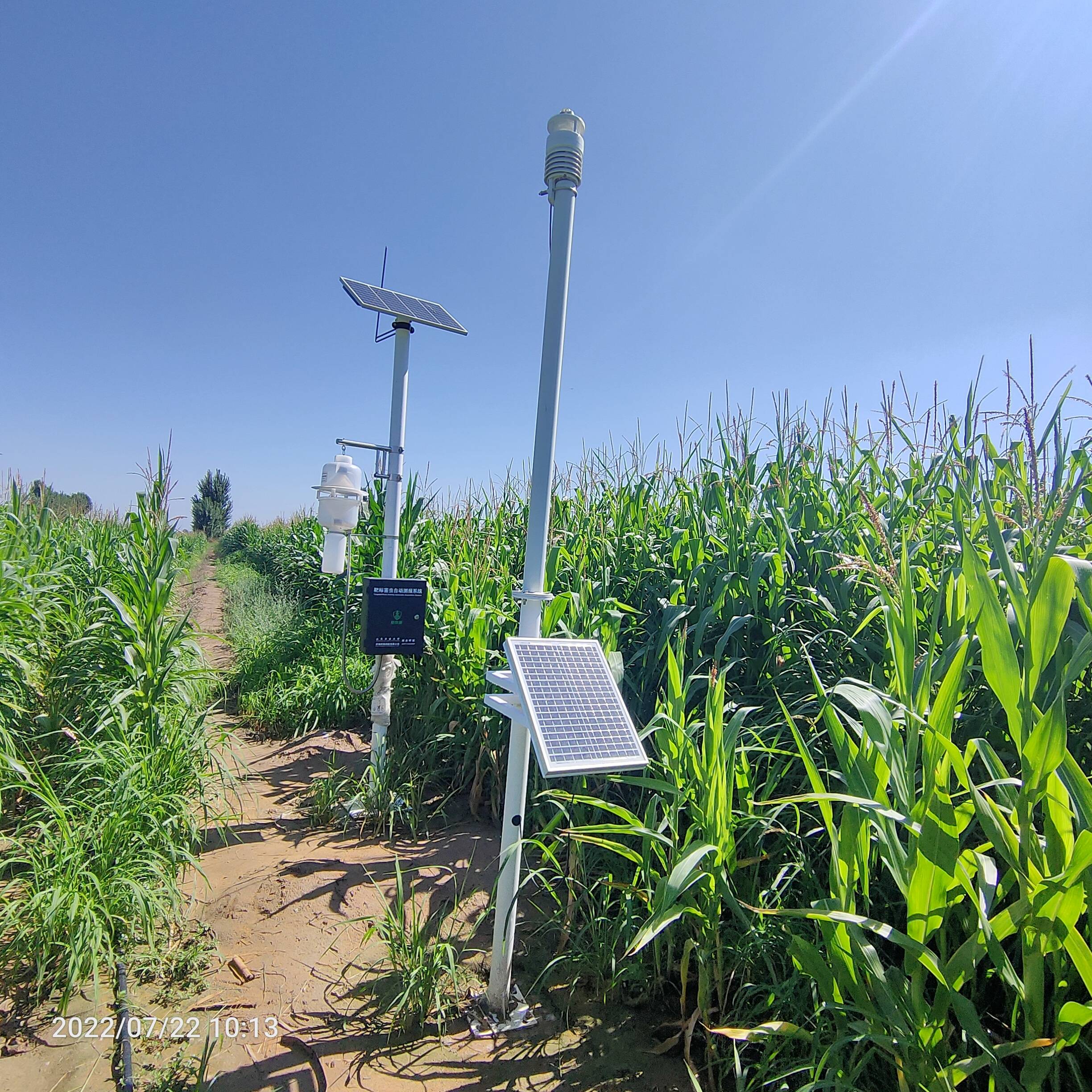 气象数据赋能避暑旅游产业发展