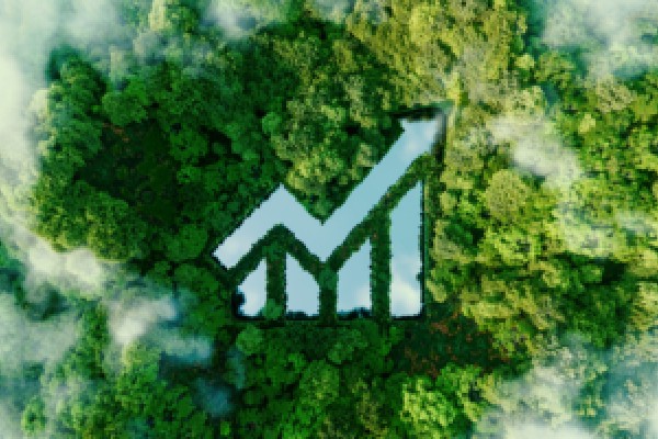 佛得角央行预计佛吸引外资呈下降趋势
