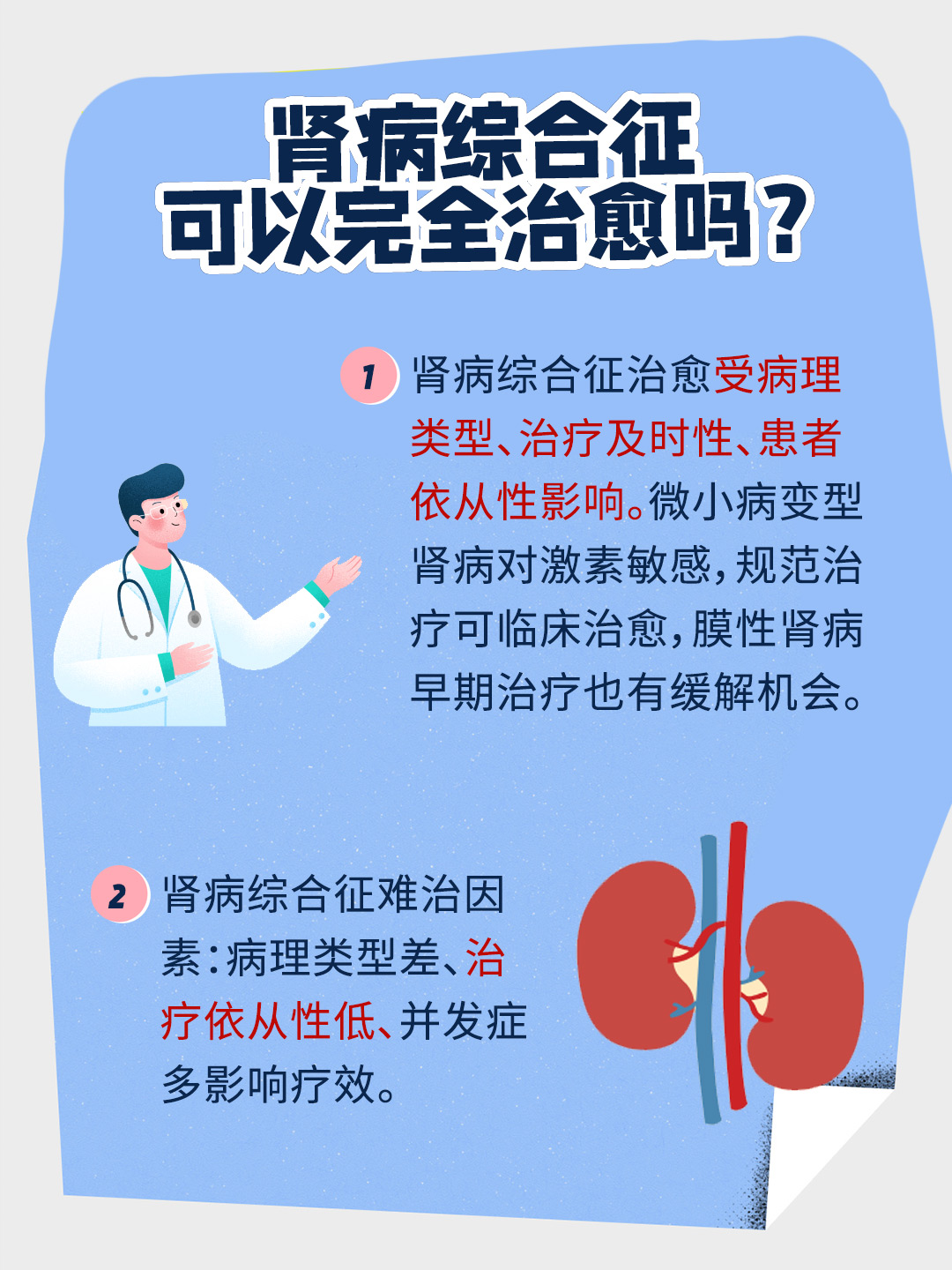 研究显示一种抗体有助于治疗慢性肾病