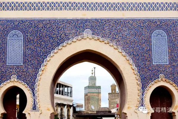 摩洛哥树莓出口创历史新高