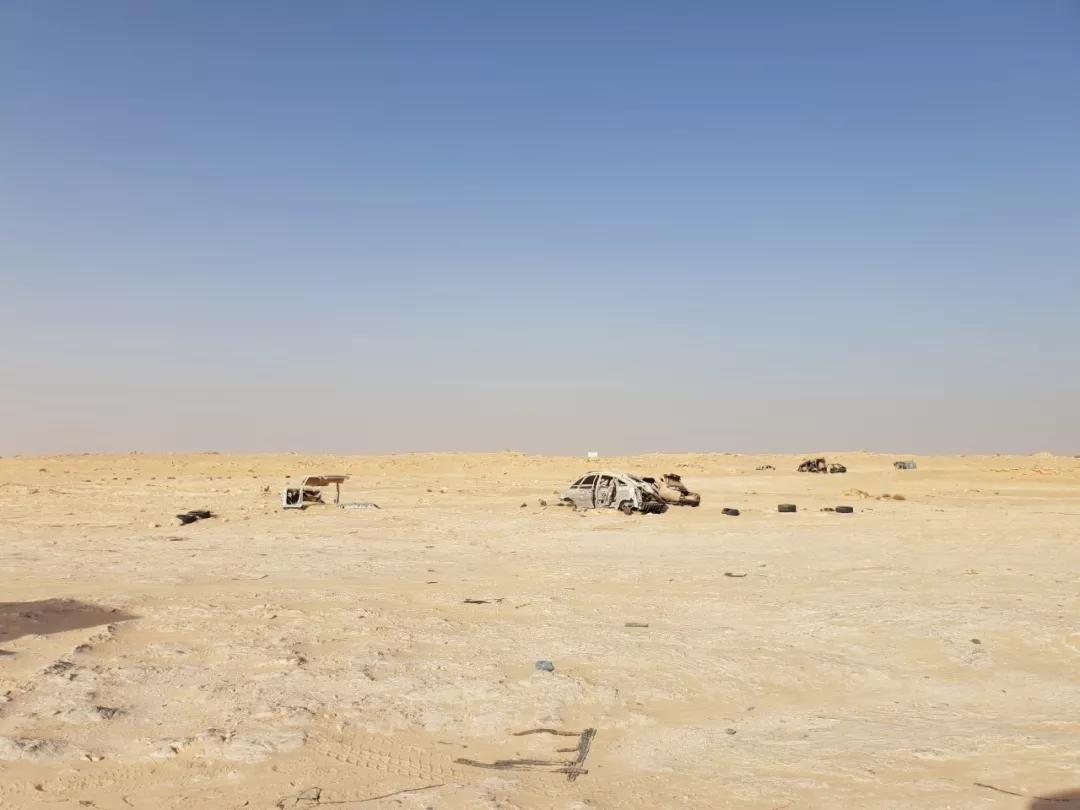 迪拜环球港务集团开通摩洛哥至英国、比利时冷链航线