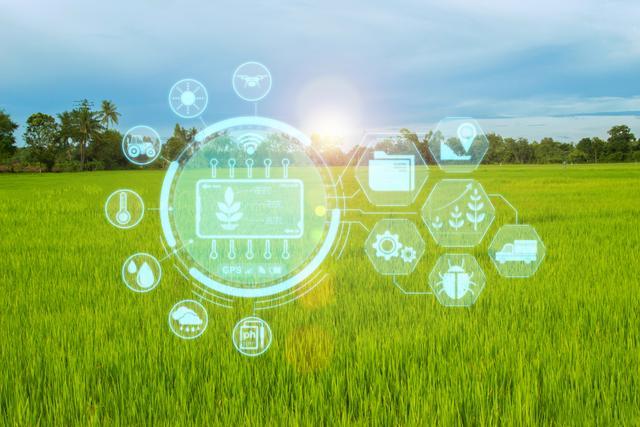 数据要素综合试验区建设取得初步进展