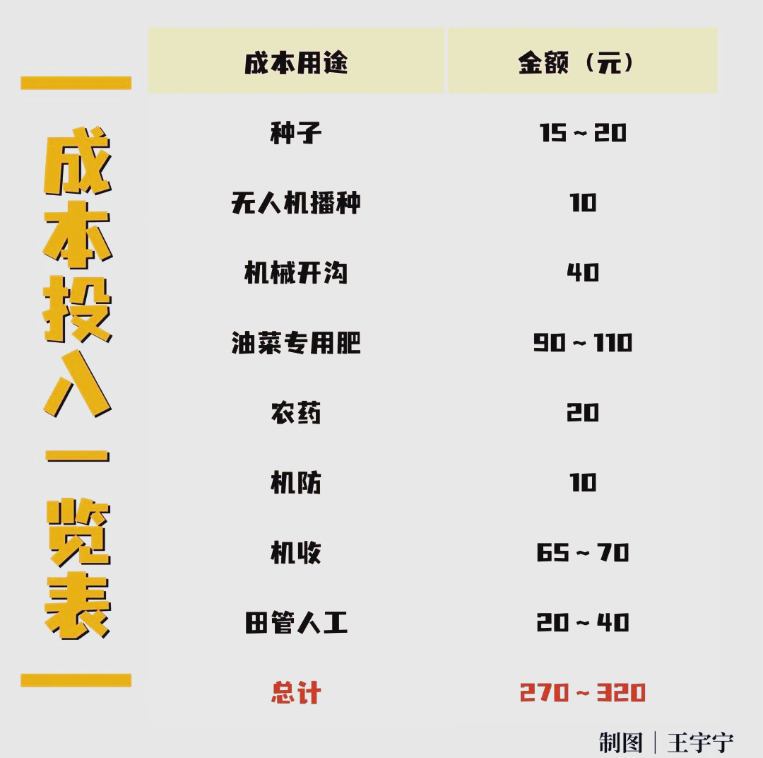 这项秸秆还田新技术可助力实现水稻单产和地力提升