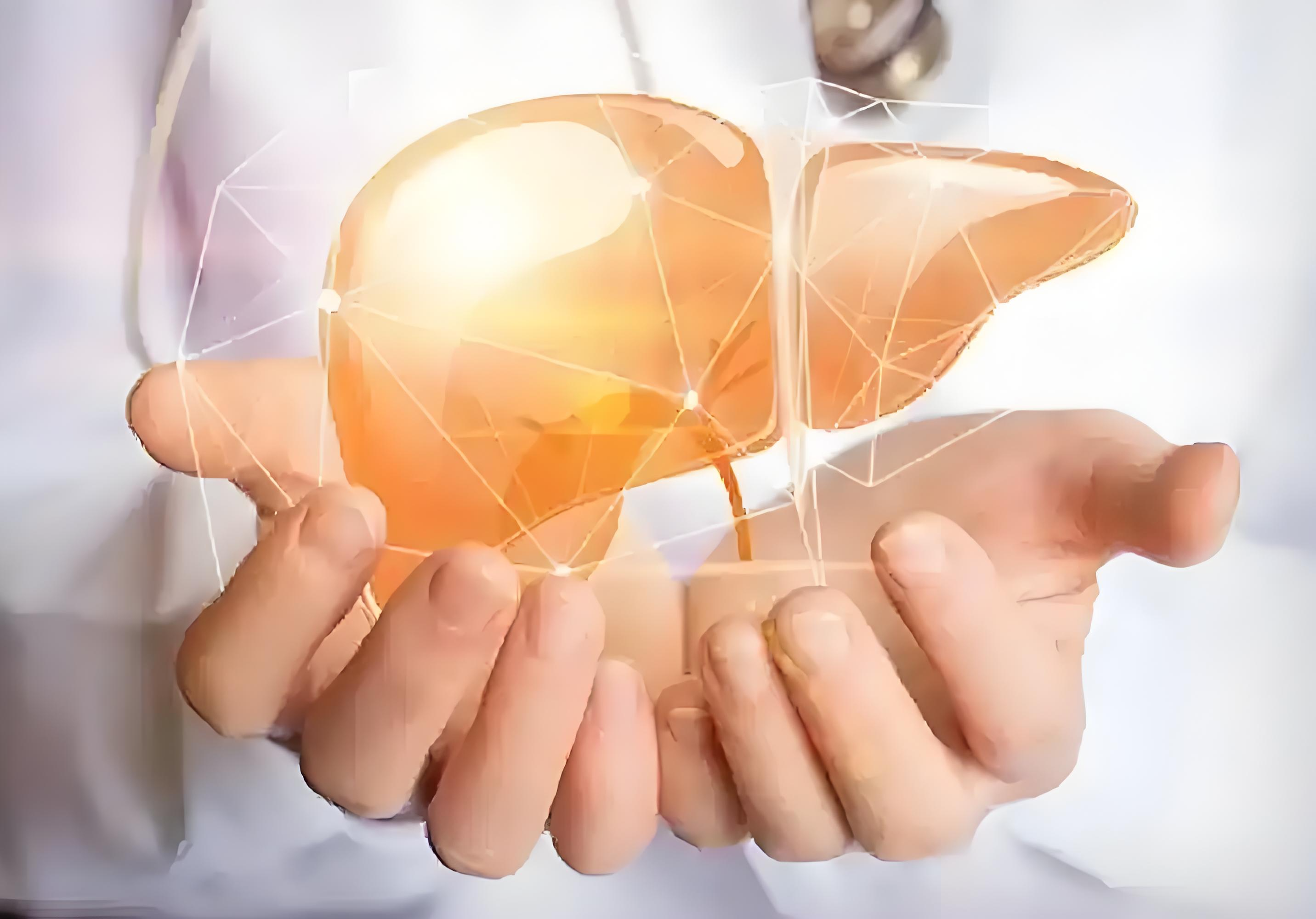 基于血检的新模型可预测患严重肝病风险