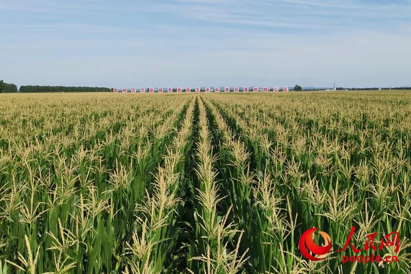 吉林联通护航双节，守护白山松水的满格体验