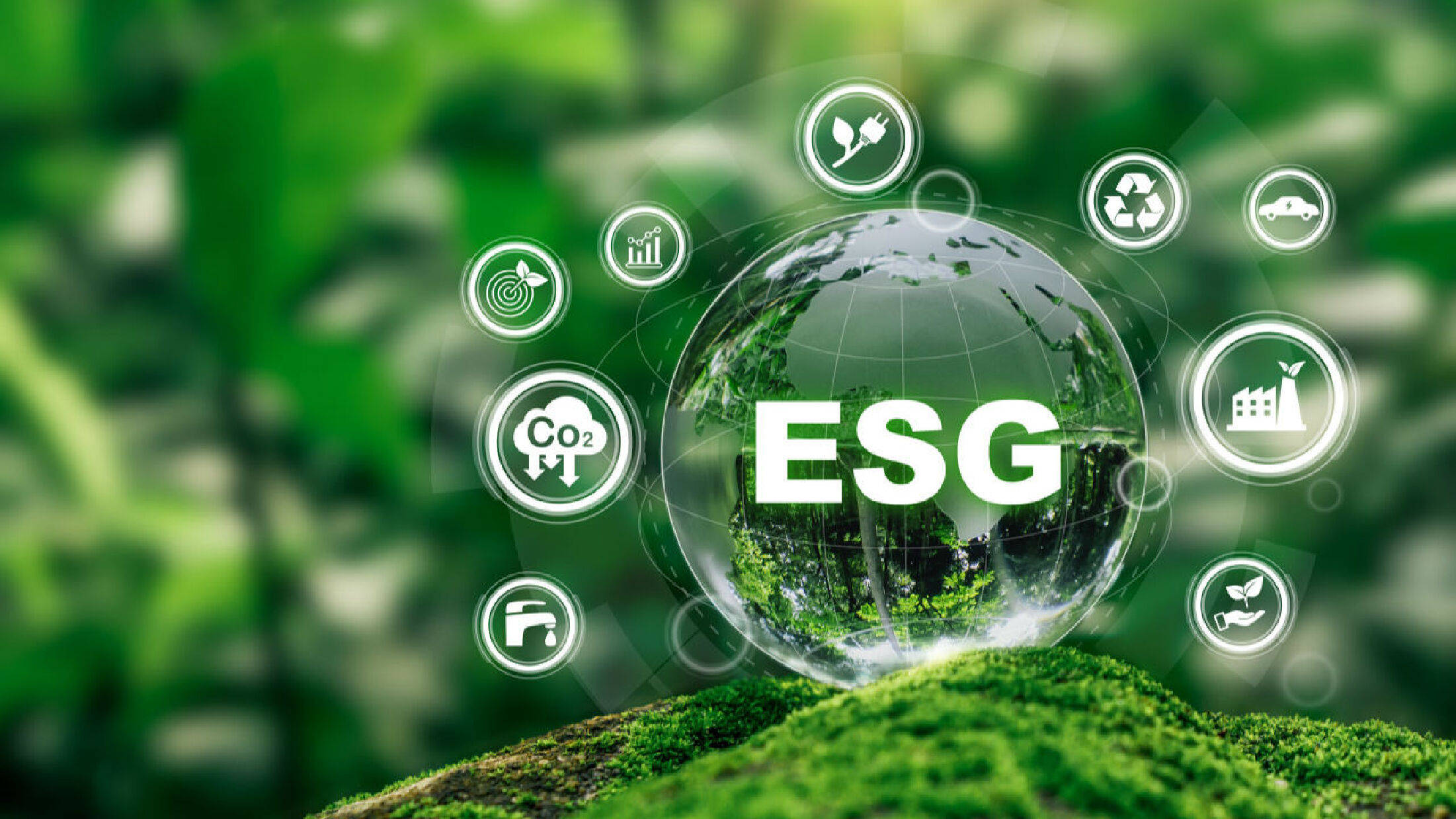 【ESG动态】华丽家族（600503.SH）获华证指数ESG最新评级CCC，行业排名第85