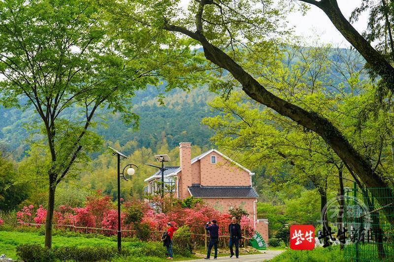 发行规模突破4300亿元 绿色金融债爆发式增长