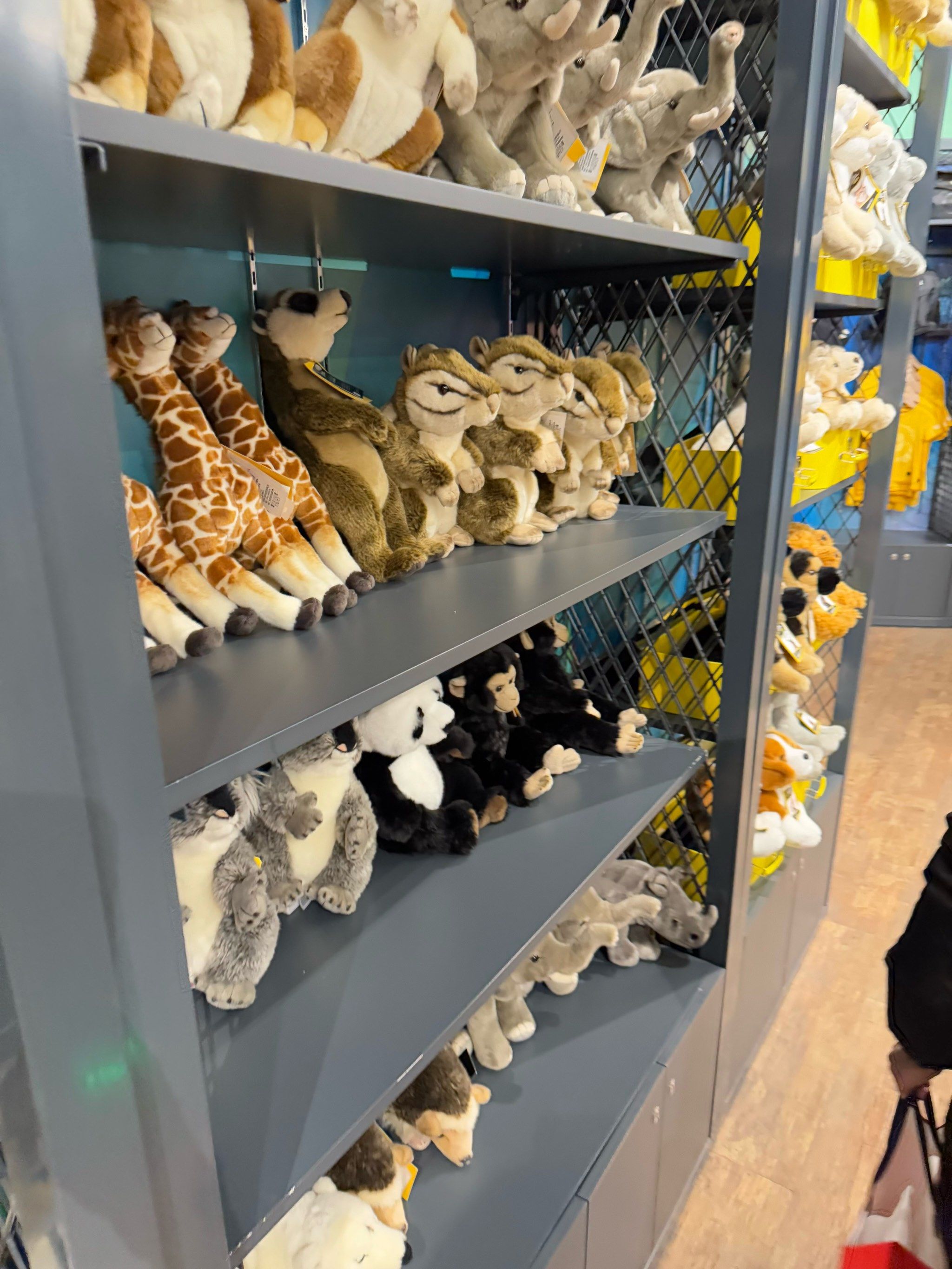 在科技馆“奇妙夜”中点亮好奇