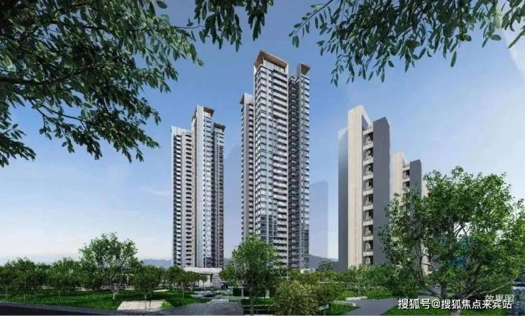 智立方：截至2025年10月10日股东户数为14,445户