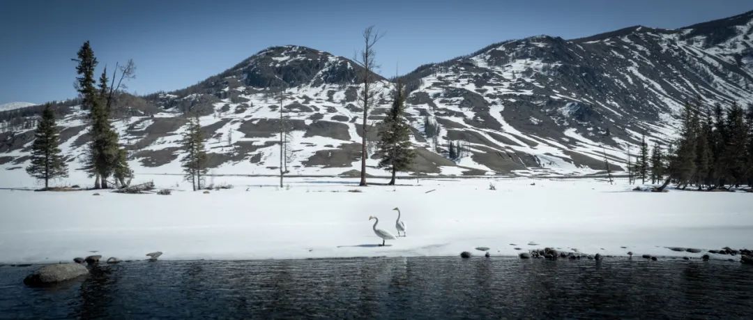尼罗州拟新建工业城