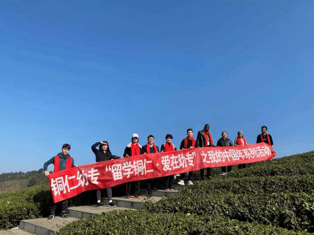 汉王科技公布国际专利申请：“胆甾显示器及其制造方法和驱动方法”