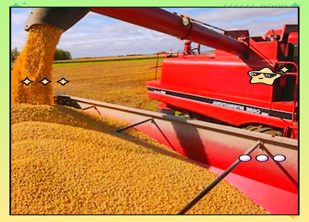 巴西大豆压榨产能因生物燃料需求强劲而扩大