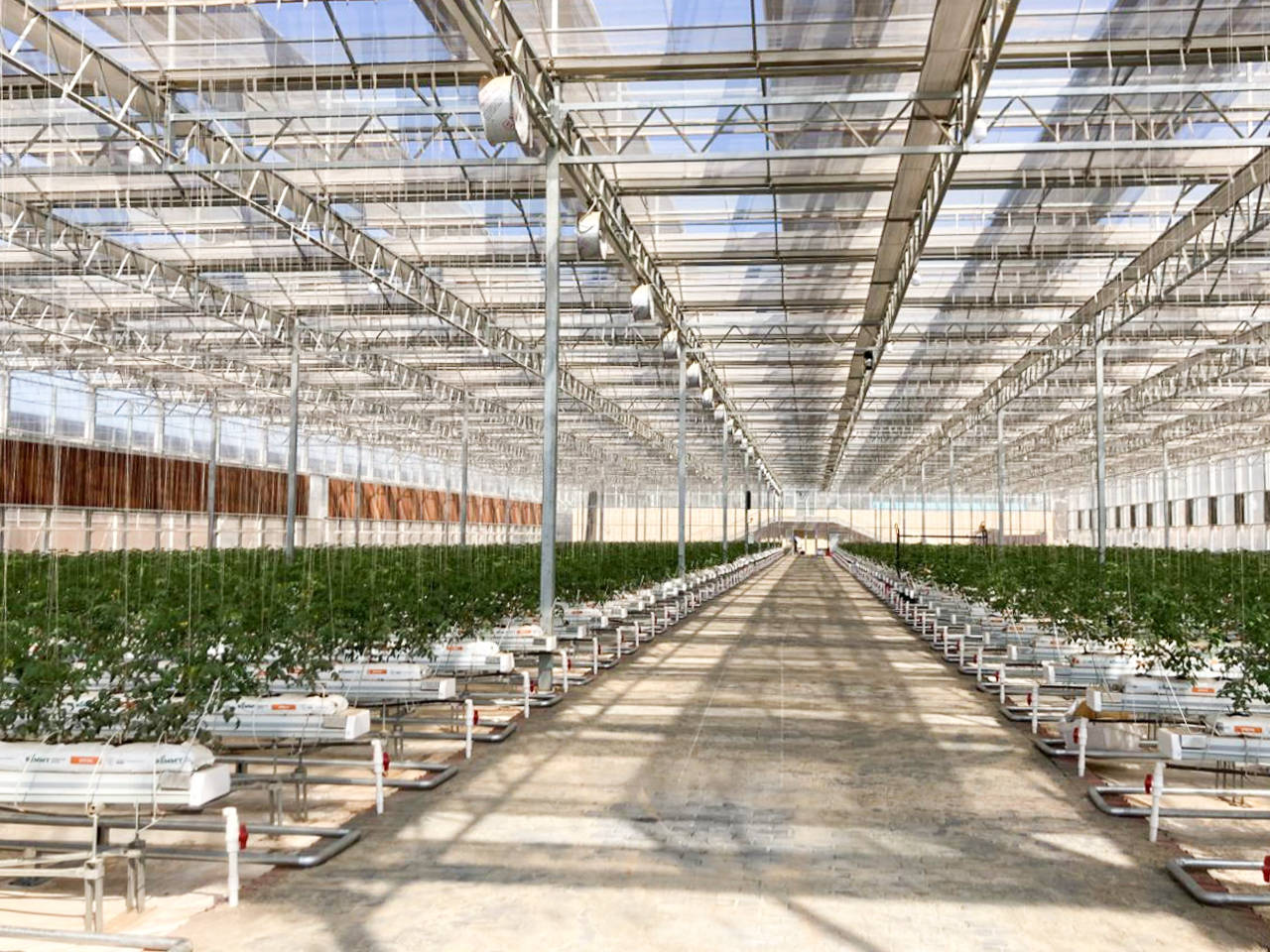 开拓智慧农业广阔空间