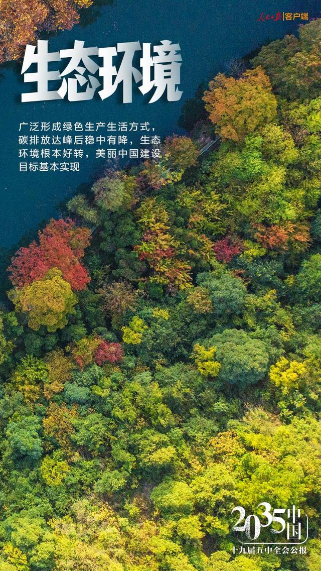 攻克高碳排放难题！我国科学家在绿色催化技术上取得新突破