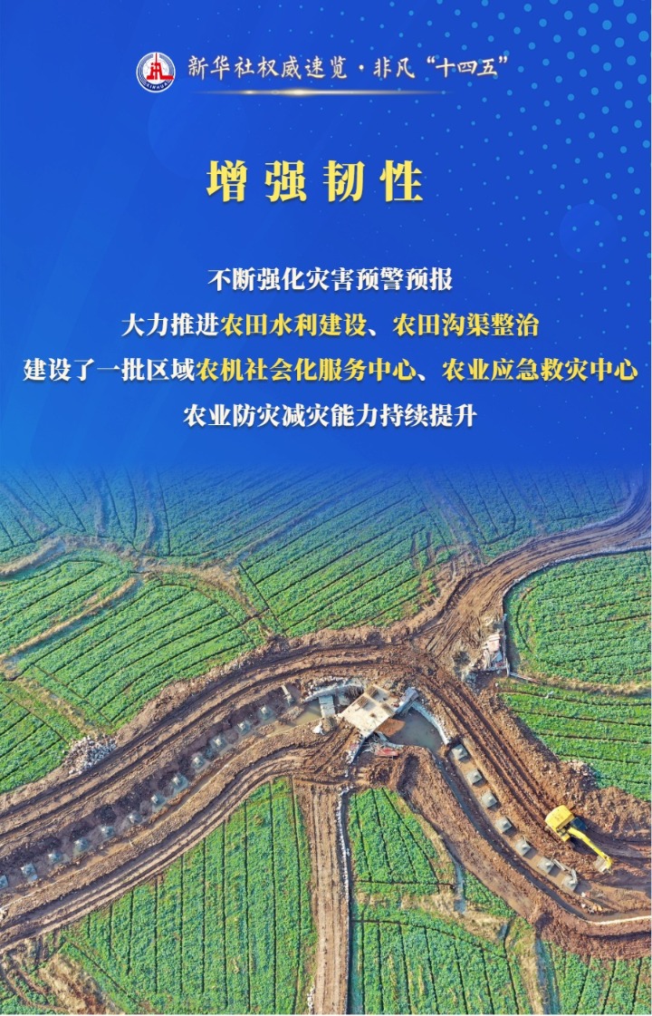 新华视点丨从丰产到丰收，现代科技如何守住农民“钱袋子”？