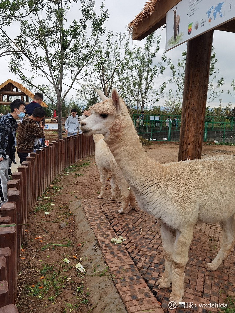 马旅游业持续增长