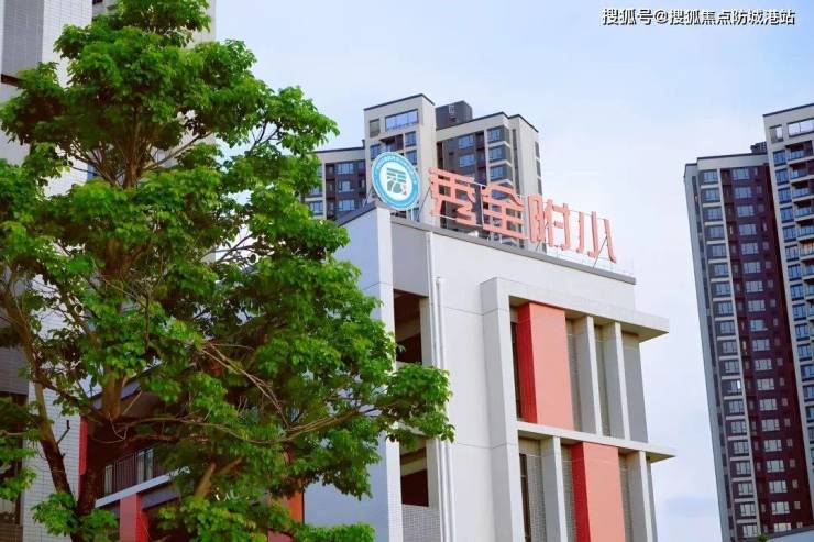 星宸科技：预期毛利率将呈逐季向好的趋势