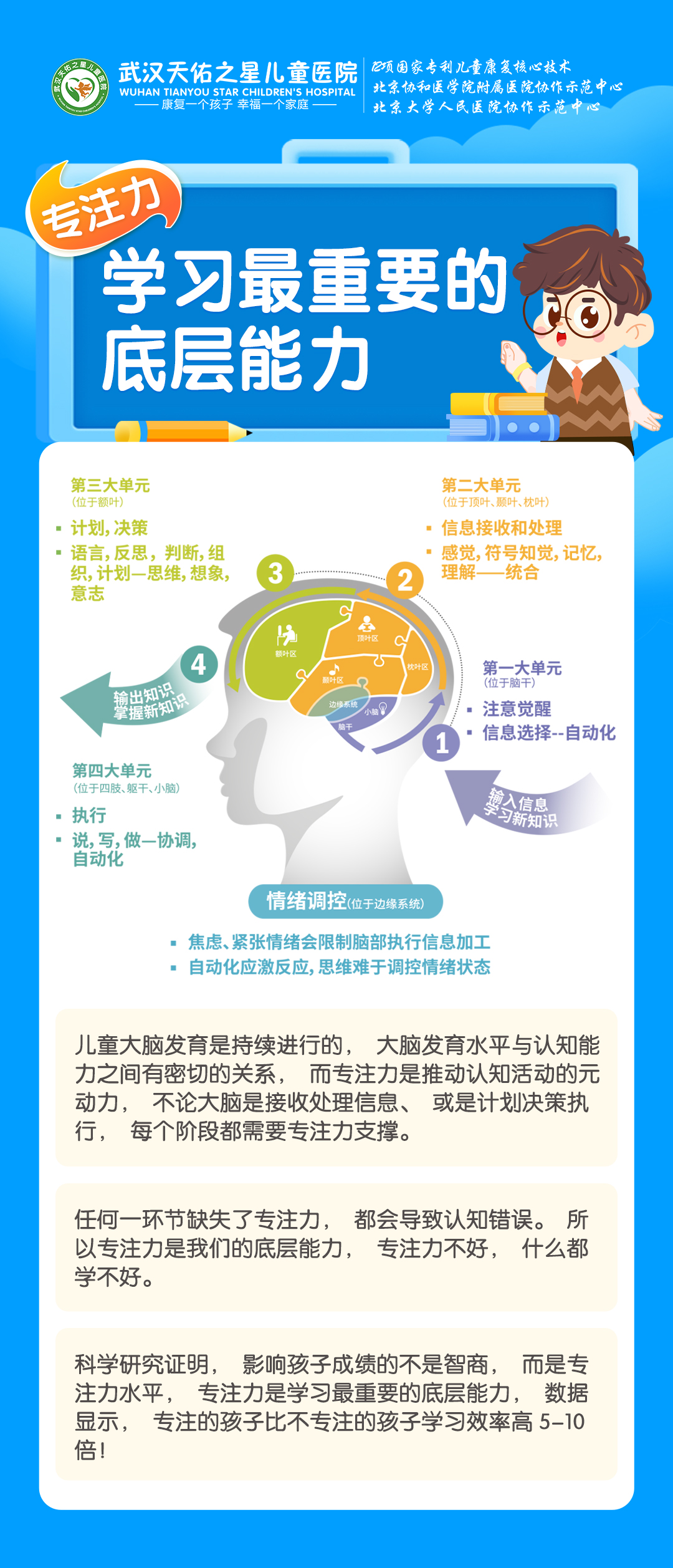 人脑优于人工智能的关键机制揭示