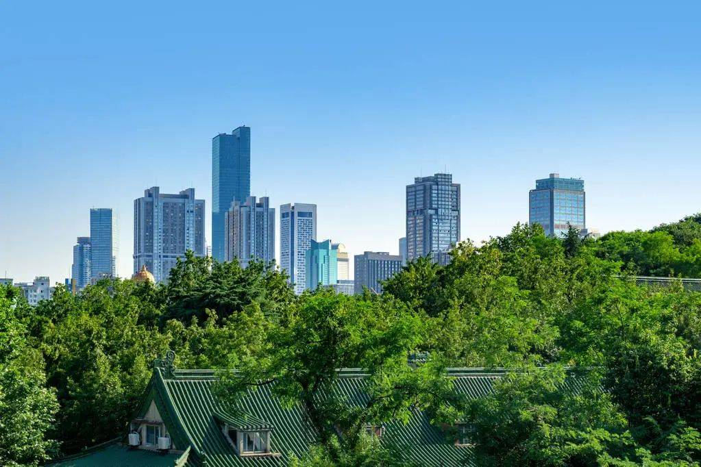 通威股份(600438.SH)：2025年度第四期绿色科技创新债券发行完成