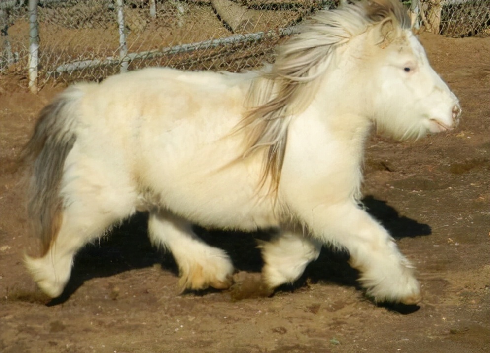 马11 月份税收达22亿卢菲亚，比去年同期增长16.6%