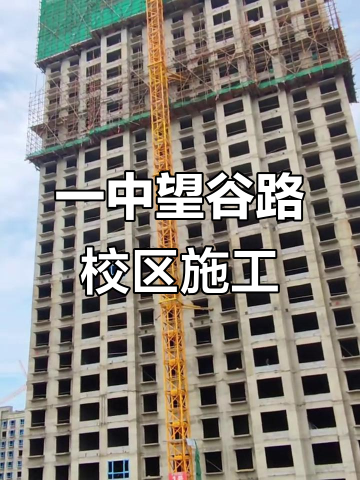 远 望 谷：截至2025年12月19日股东总户数为68,019户