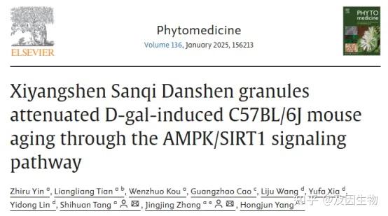 新研究发现细菌在抗生素作用下存活机制