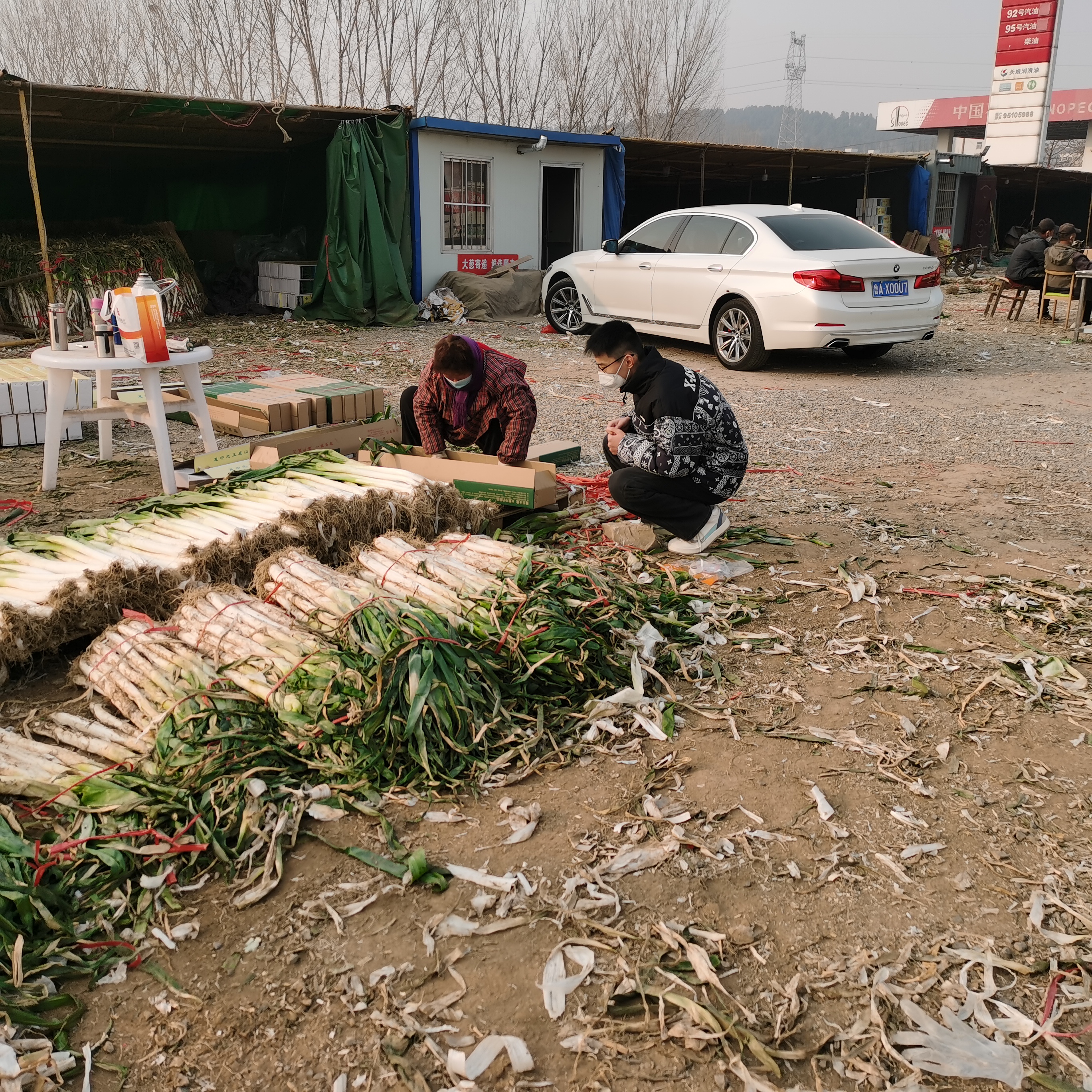 田间成果竞芬芳 青春聚力兴三农,“拼多多杯”第三届科技小院大赛总决赛落幕