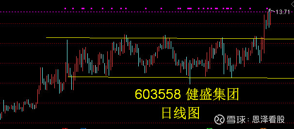 健盛集团(603558.SH)：终止越南清化新建项目