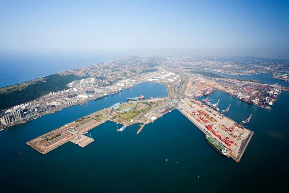2025年南非口蹄疫疫情导致畜牧业出口收入损失约56亿兰特
