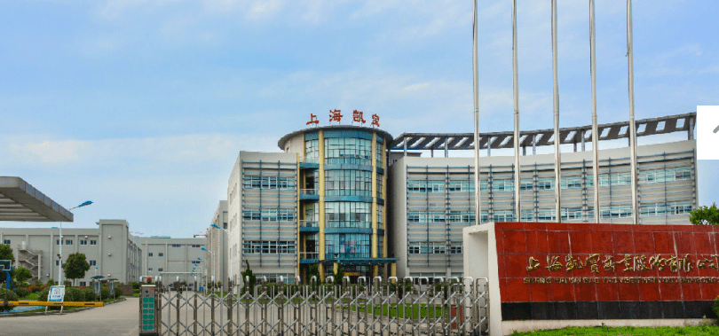上海凯宝：公司生产经营正常