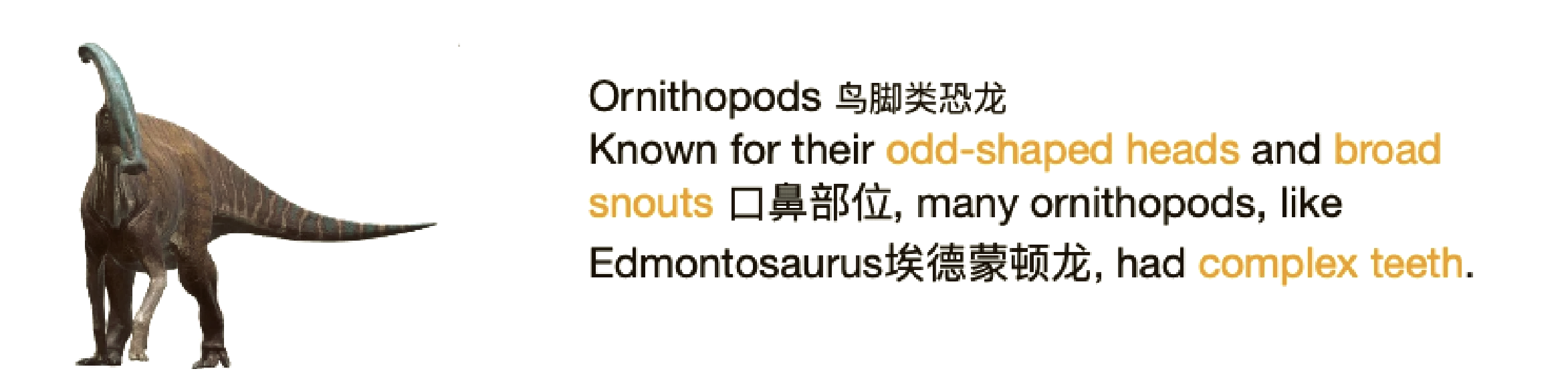 恐龙和鸟是否“沾亲带故”