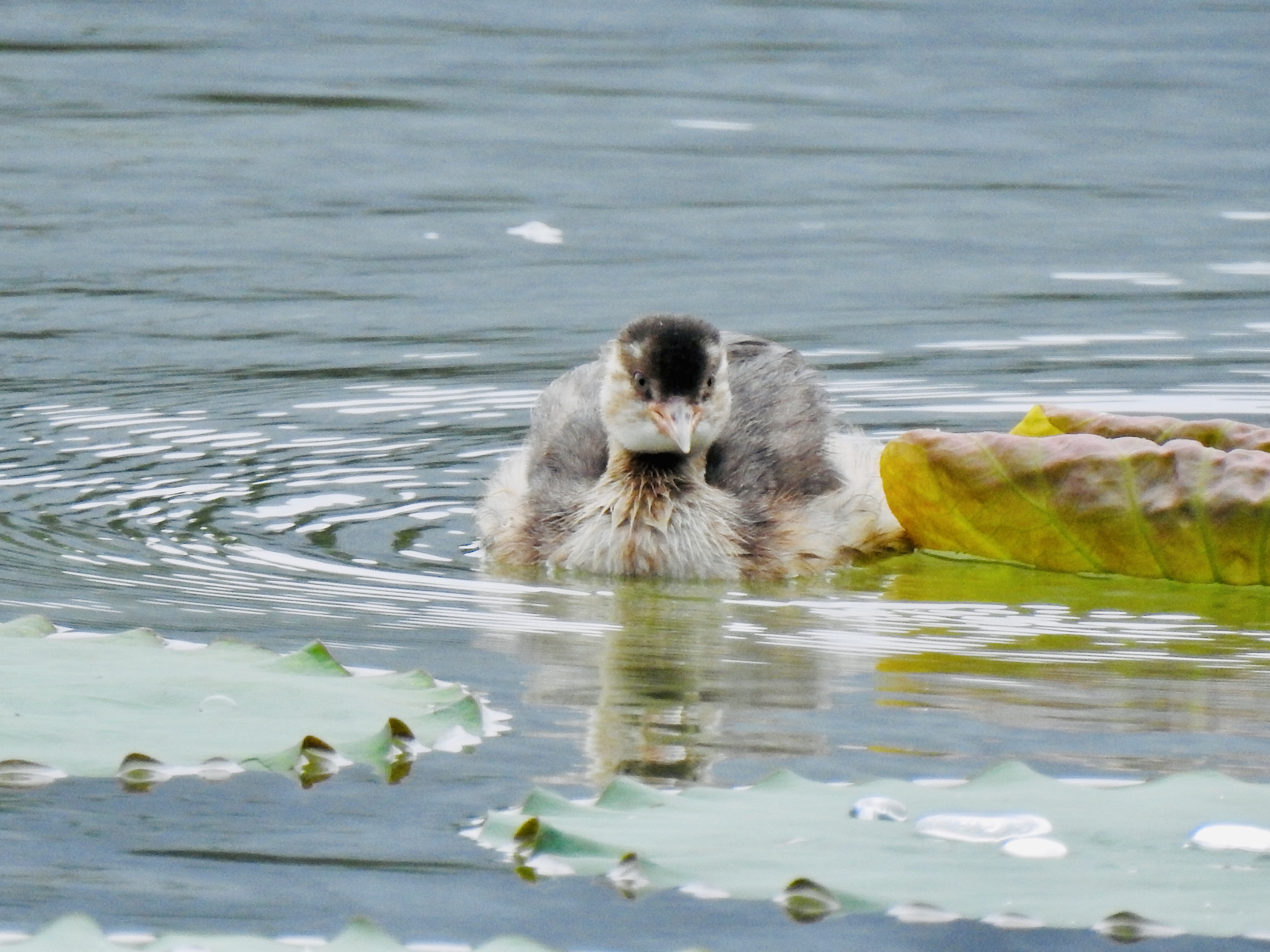 立方风控鸟·晚报（3月10日）