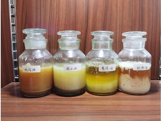 中国石化获得发明专利授权:“一种油脂类原料生产生物柴油馏分的方法”