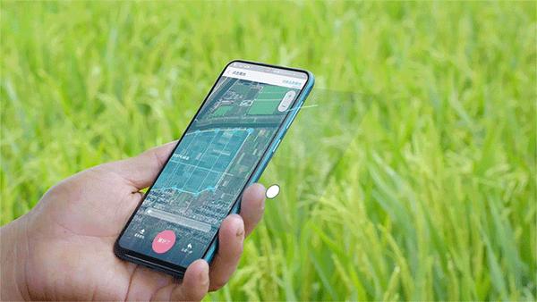 立方风控鸟·晚报（4月15日）