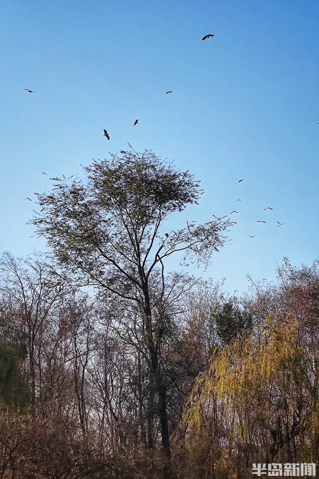 立方风控鸟·晚报（4月17日）