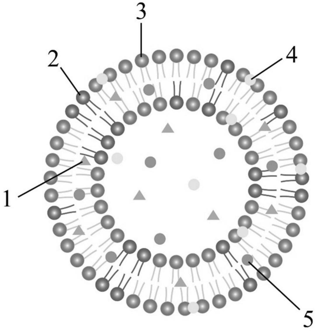 斯迪克获得发明专利授权：“热熔胶、基于该热熔胶的氢燃料电池封装热熔胶膜及其制备方法”
