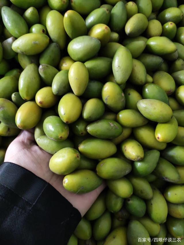 云南白药获得发明专利授权:“从三七茎叶中同时制备人参黄酮苷和槲皮素-3-O-β-D-吡喃葡萄糖-(1→2)-β-D-吡喃半乳糖苷的方法”