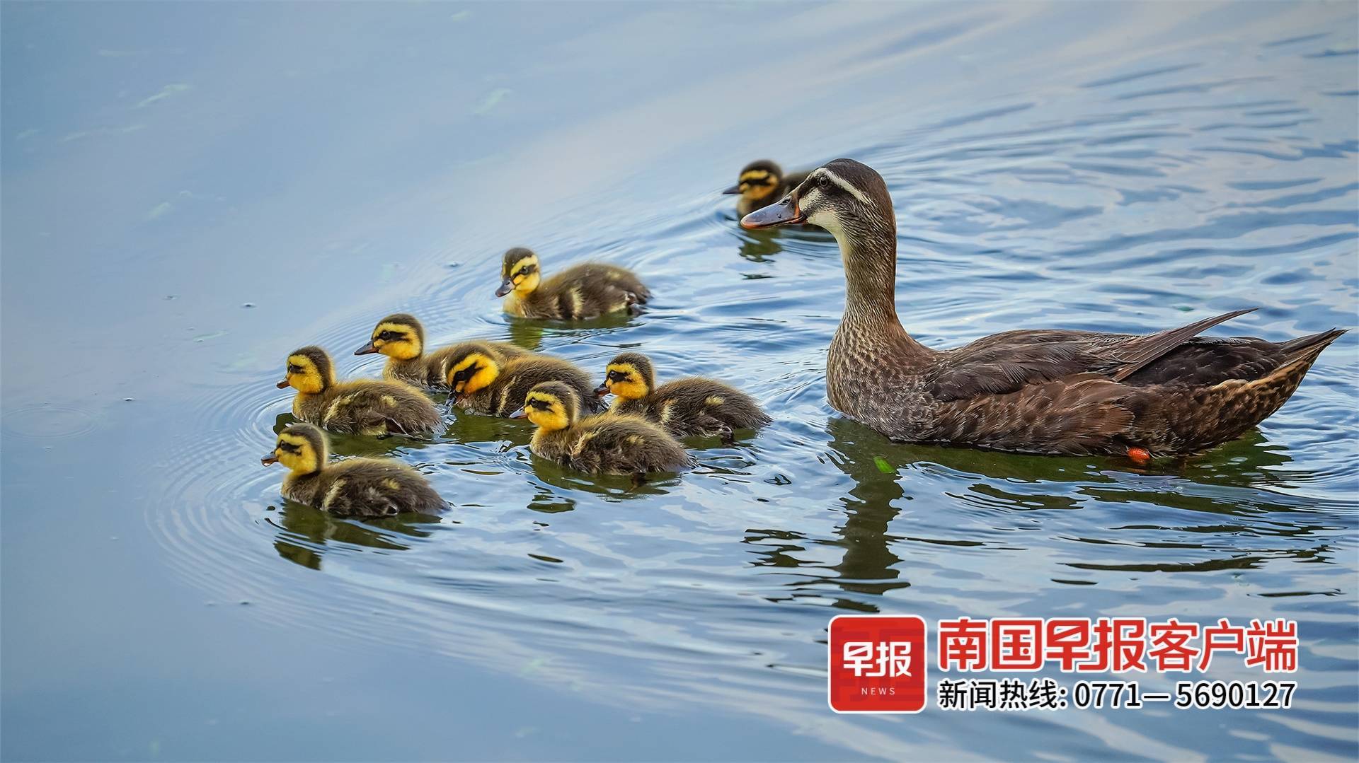 立方风控鸟·早报（5月11日）