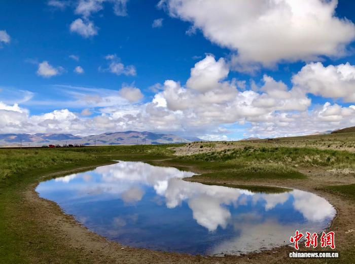 我国科研团队首次定量揭示湿地甲烷排放概率